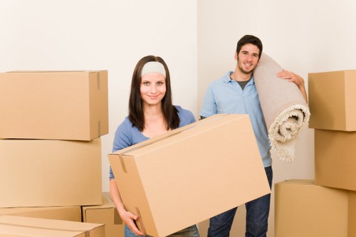 Preparation checklist and moving boxes for a Carshalton van service