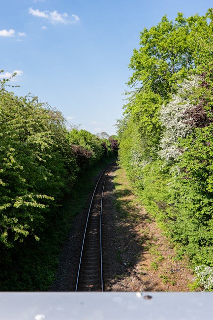 The image shows a view from a train or moving vehicle looking down a railway track that runs straight through a green, leafy landscape. Tall trees with vibrant green foliage line both sides of the railway, with some trees displaying white and purple blossoms. The sky above is clear and blue, indicating bright, sunny weather. The railway track is composed of metal rails and wooden sleepers, with gravel ballast surrounding it. The perspective suggests the photo was taken from a window or balcony, possibly during a home relocation or transport process involving train travel. This scenic view highlights the natural environment adjacent to railway routes commonly used during local house removals and furniture transport services, with lush greenery and the straight track emphasizing the logistical aspect of route planning in moving logistics. The company Man with Van Carshalton frequently assists with domestic removals, including transport along such routes, ensuring efficient planning for home relocation or furniture transport needs.