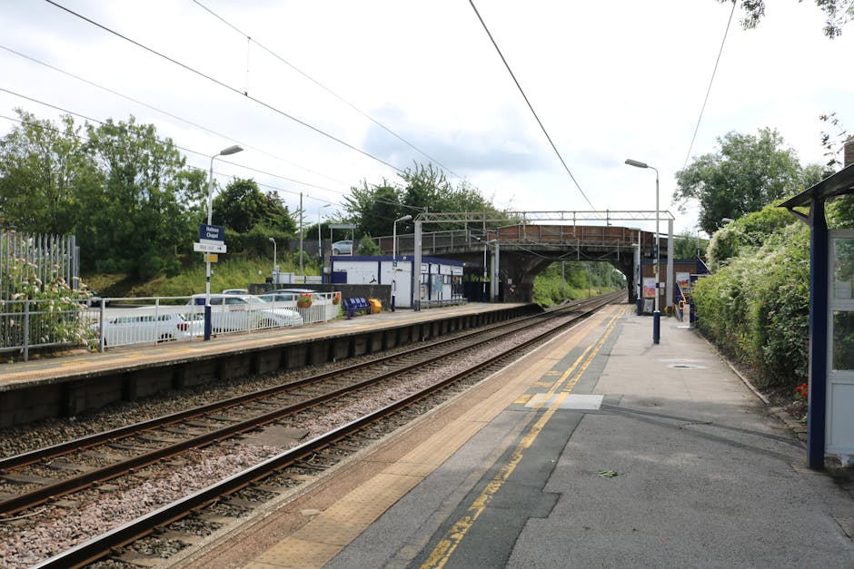 The image shows a view from a train or moving vehicle looking down a railway track that runs straight through a green, leafy landscape. Tall trees with vibrant green foliage line both sides of the railway, with some trees displaying white and purple blossoms. The sky above is clear and blue, indicating bright, sunny weather. The railway track is composed of metal rails and wooden sleepers, with gravel ballast surrounding it. The perspective suggests the photo was taken from a window or balcony, possibly during a home relocation or transport process involving train travel. This scenic view highlights the natural environment adjacent to railway routes commonly used during local house removals and furniture transport services, with lush greenery and the straight track emphasizing the logistical aspect of route planning in moving logistics. The company Man with Van Carshalton frequently assists with domestic removals, including transport along such routes, ensuring efficient planning for home relocation or furniture transport needs.
